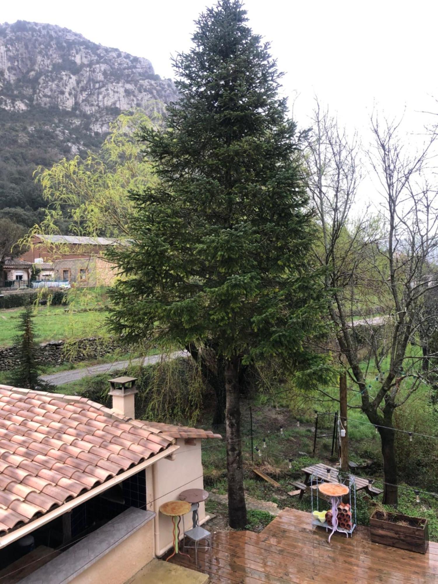 Auberge De La Vallee Saint-Jean-de-Bueges Экстерьер фото